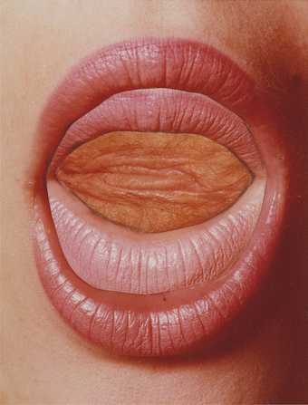 Penny Slinger, Read My Lips, 1973