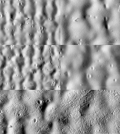 Photomicrographs of Golden titanium white paint on primed canvas