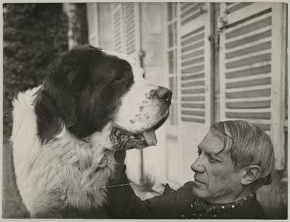 A large dog faces Picasso in a chair