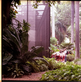 National Botanical Gardens, Havana, Cuba, image (c) Eva Sajovic