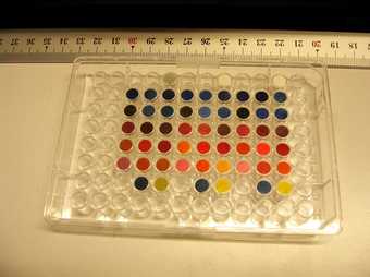 Pigment samples ready for lightfastness testing