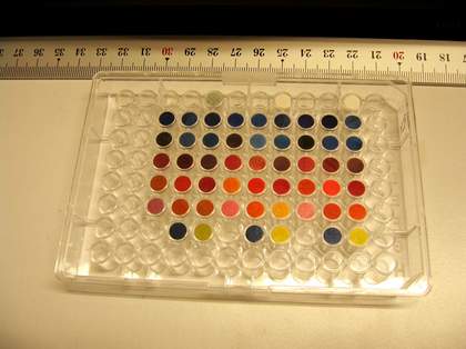 Pigment samples ready for lightfastness testing