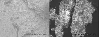 The pigment particle size is much larger in a sample taken from Wings over Water (left) than from Julian Travelyan’s Basewall, 1933 (right)