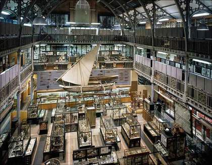 Pitt Rivers Museum, Oxford