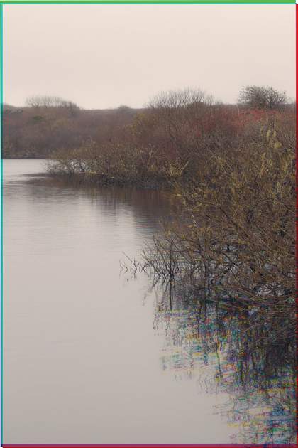 landscape painting of a lake with branches
