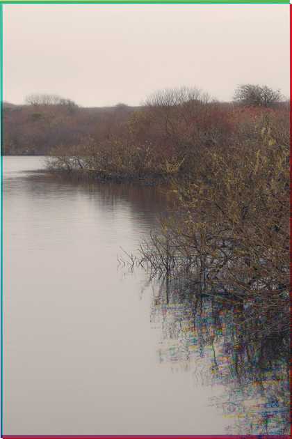 landscape painting of a lake with branches