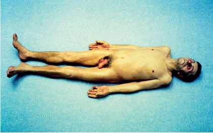 Ron Mueck Dead Dad 1996–7