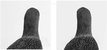 Roni Horn Untitled number four 1998