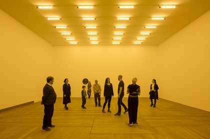 A group of people in Olafur Eliasson's Room for One Colour