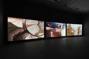 installation view of three film screens one showing a hand holding a magnifying glass