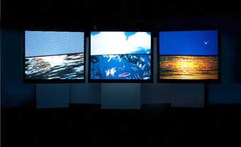 Three film screens next to each other, each showing a different natural landscape