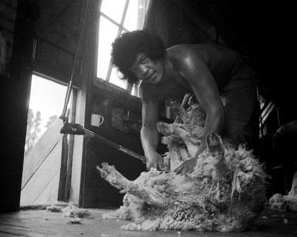 Darcy Lange Ruatoria, Study of Sheep Gathering and a Māori Shearing Gang, East Coast, New Zealand 1974, photographic still. Courtesy Govett-Brewster Art Gallery and Darcy Lange Estate.​
