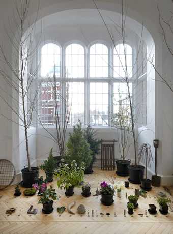 An image inside a gallery space with plants on the floor by the window