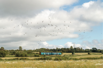  A train travelling through green countryside 