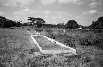 Santu Mofokeng, Fevriary 3 Mass-Grave, Mozambique, 2002, printed 2011, from the series Landscape and Memory, 1997–2011, gelatin silver print on paper, 38 x 58 cm