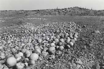 Santu Mofokeng, Undersized, Stunted-in-Growth and Rotting Melons Dumped in the Veld Outside Kroonstad, Free State, 2007, printed 2011, from the series Climate Change, 2007, gelatin silver print on paper, 64 x 98 cm