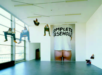 Sarah Lucas Installation view of entrance hall