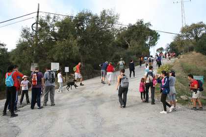 Research Trip for School for Tourists Casares, Campo Adentro and Matadero Madrid, 2012–13