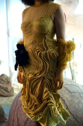 a close up image of Celeste's dress