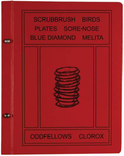 Robert Therrien Cover of Scrubbrush Bird Book