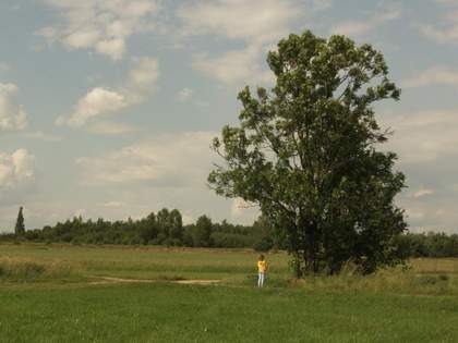 Sharon Lockhart Untitled Study Footage 2015