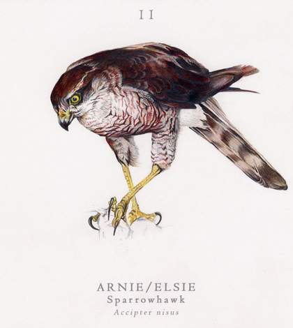 Jamie Shovlin from The Twitcher