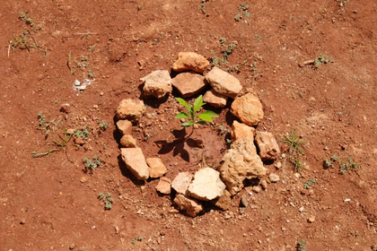 Havana, image (c) Corinne Silva