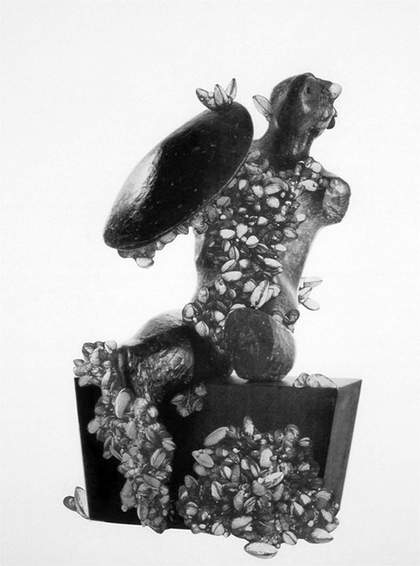 Simon Starling Infestation Piece Proposal for Lake Ontario 2006