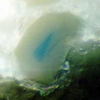 Particle of Discoloured Smalt with an un-faded core seen in cross-section