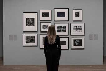 Woman looking at photographs in gallery