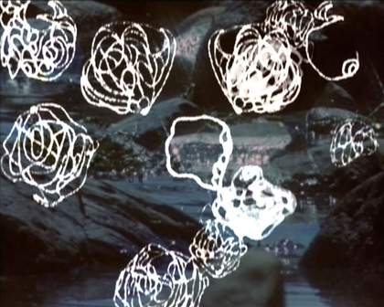 Stephen Sutcliffe, Plum 2012 Video still