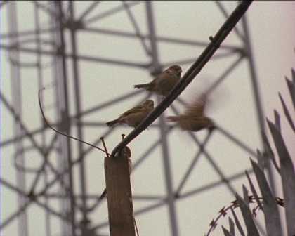 Still from A Grammar for Listening by Luke Fowler Courtesy of the artists and LUX London