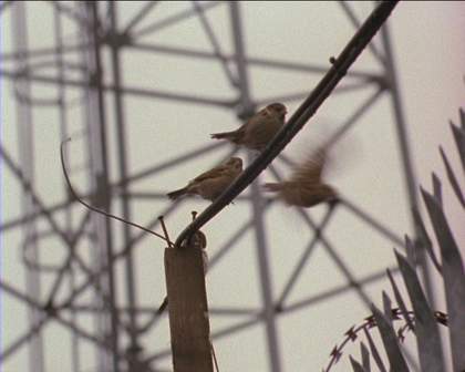 Still from A Grammar for Listening by Luke Fowler Courtesy of the artists and LUX London