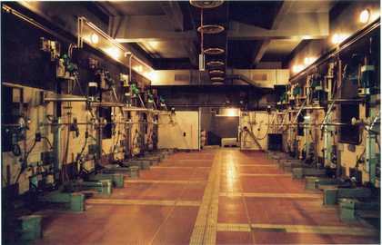 Stills from Tacita Dean Kodak
