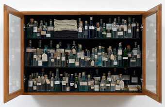 Susan Hiller The Tao of Water: Homage to Joseph Beuys 1969 to 2010
