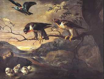 Fig.1 Francis Barlow ?1626‒1704 A Roller, two Peregrine Falcons and a Long-eared Owl with her Young Date not known