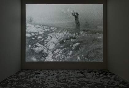 Ewa Partum, Active Poetry 1971–3. Tate. © Ewa Partum