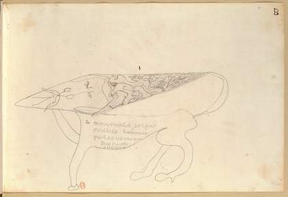 Spirit drawing by Victor Hugo, 26 July 1854