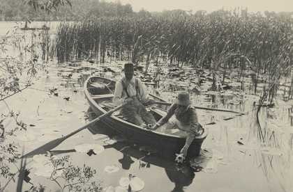 Peter Henry Emerson, Gathering Water-Lilies, 1886