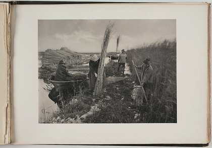 Plate titled 'During the Reed-Harvest' from P H Emerson and T F Goodall's 'Life and Landscape on the Norfolk Broads', published in 1887