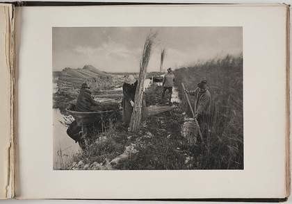 Plate titled 'During the Reed-Harvest' from P H Emerson and T F Goodall's 'Life and Landscape on the Norfolk Broads', published in 1887