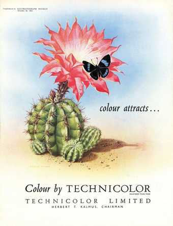 Technicolor advertisement published in Kinematograph Weekly, 29 October 1953 - Courtesy BFI and Palgrave