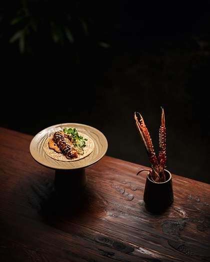 langoustine next to a taco