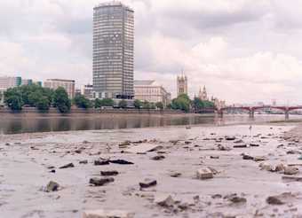 Mark Dion, Tate Thames Dig, 1999
