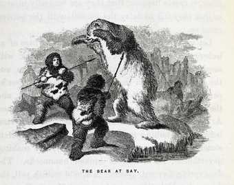 The Bear at Bay, Wood engraving from Elisha Kent Kane, Arctic Explorations in the Years 1853, ’54, ’55 1856