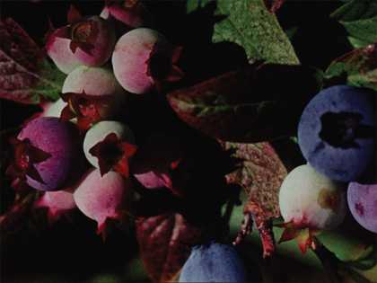 Phill Niblock Cross Country (Environments II) 1970, film still. Courtesy the artist