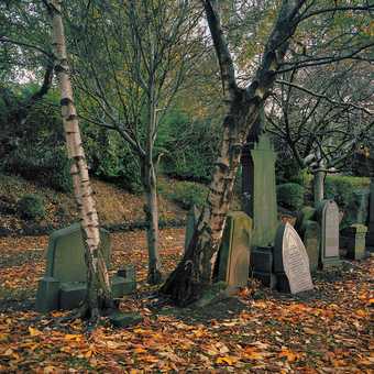 Thomas Haywood The Necropolis Cemetery Glasgow 2005