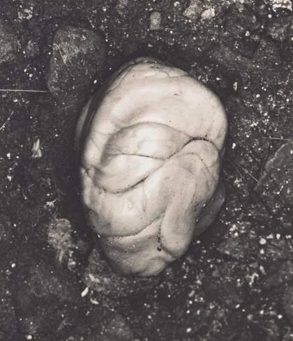 Irving Penn Underfoot I, New York, October 27, 1999 2000 Courtesy of Penn Foundation
