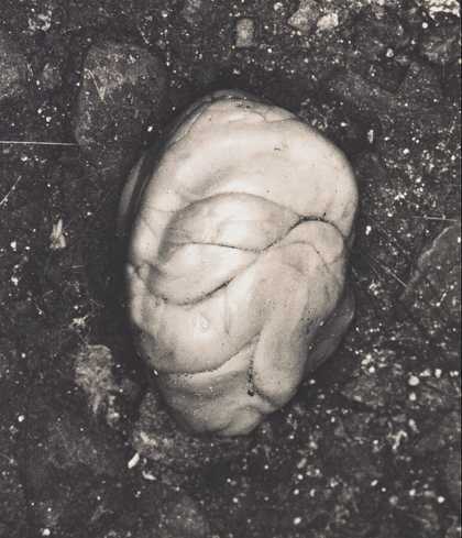 Irving Penn Underfoot I, New York, October 27, 1999 2000 Courtesy of Penn Foundation