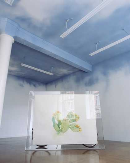 Simon Starling Installation view: Tabernas Desert Run, The Modern Institute, Glasgow